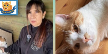 Radio Zampetta Sarda- Fierogatto propone l’adozione di Mimi