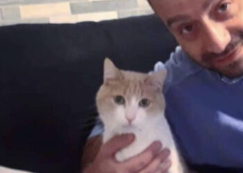 Cagliari, Igor Sollai condannato a un anno e 4 mesi per violenza sessuale su minore