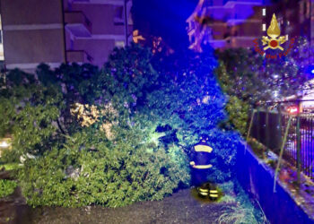 Allerta Meteo in Sardegna, 90 interventi dei vigili del fuoco nelle ultime ore