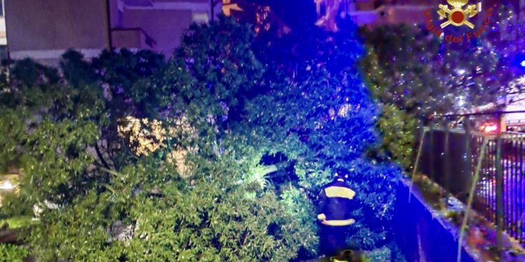 Allerta Meteo in Sardegna, 90 interventi dei vigili del fuoco nelle ultime ore