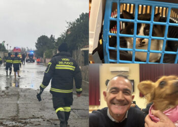 Capoterra, tutti evacuati cani e gatti compresi: concluse le operazioni per la messa in sicurezza di 100 cittadini