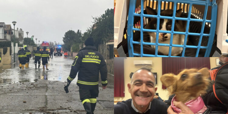 Capoterra, tutti evacuati cani e gatti compresi: concluse le operazioni per la messa in sicurezza di 100 cittadini