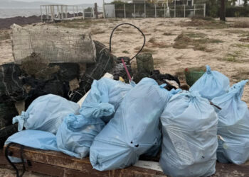 Quartu, i volontari Oikos in azione al Poetto per ripartire: “Harry ha lasciato silenzio e distruzione”