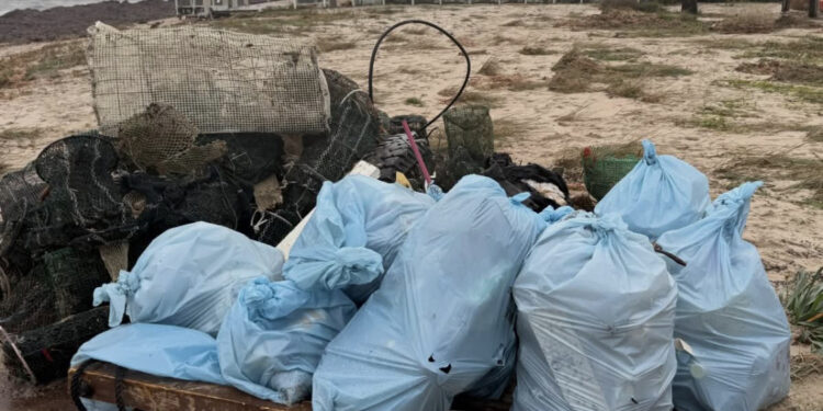 Quartu, i volontari Oikos in azione al Poetto per ripartire: “Harry ha lasciato silenzio e distruzione”