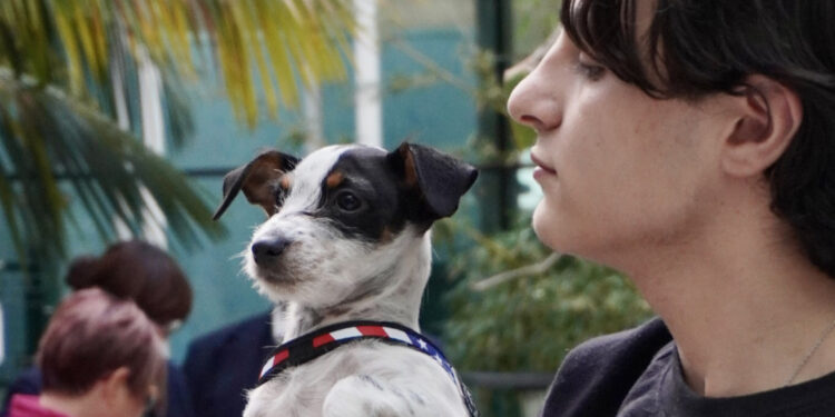 Inaugurata la Pet Area all’Aeroporto di Cagliari: coccole e servizi per gli amici a 4 zampe