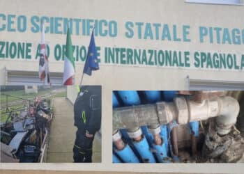 Emergenza rifiuti e ratti alla scuola Pitagora a Selargius: intervento del Centro Antinsetti per scongiurare focolai d’infezione
