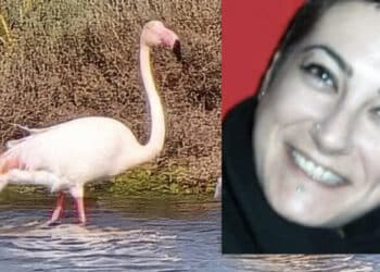 Masainas in lutto:  addio alla 48enne Francesca Piras, la donna che amava fotografare i fenicotteri