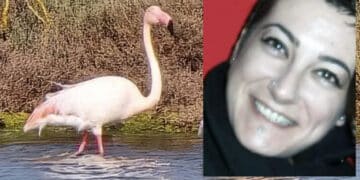 Masainas in lutto:  addio alla 48enne Francesca Piras, la donna che amava fotografare i fenicotteri