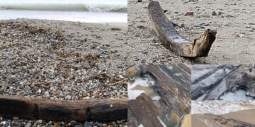 Sud Sardegna, resti di un’imbarcazione a Golfo degli Aranci: potrebbe trattarsi di scialuppe di un galeone francese del 1780