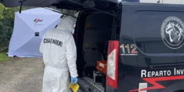 Tre cacciatori trovati morti nel bosco: un uomo interrogato, è giallo