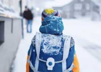 Bimbo di 11 anni costretto a scendere dal bus perché non ha il nuovo biglietto per le Olimpiadi: autista sospeso