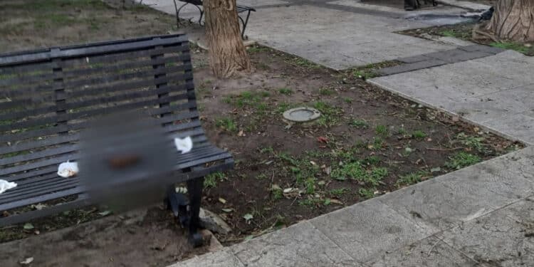 Cagliari, panchine pubbliche scambiate per wc: nei parchi delle Rimembranze e Martiri delle Foibe scotex ed escrementi sulle sedute