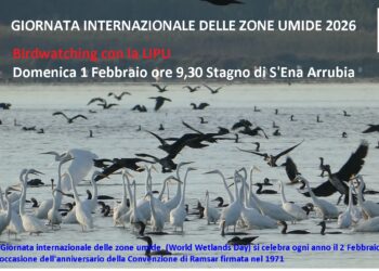 Con la Lipu per la Giornata internazionale delle zone umide 2026