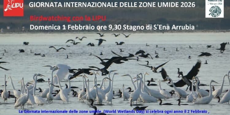 Con la Lipu per la Giornata internazionale delle zone umide 2026