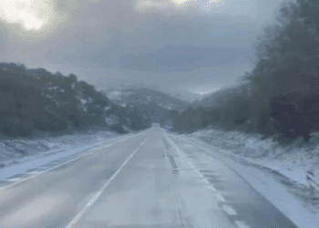Maltempo in Sardegna, Anas al lavoro per garantire la transitabilità sulle strade colpite da neve e ghiaccio