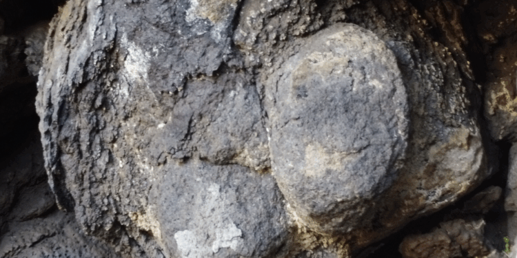 Una dea madre nel nuraghe Santa Barbara di Villanova Truschedu? No, è solo una pietra erosa