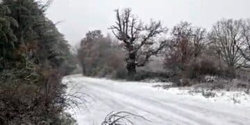 Neve a Fonni, il monte Spada imbiancato: freddo e gelo in Sardegna
