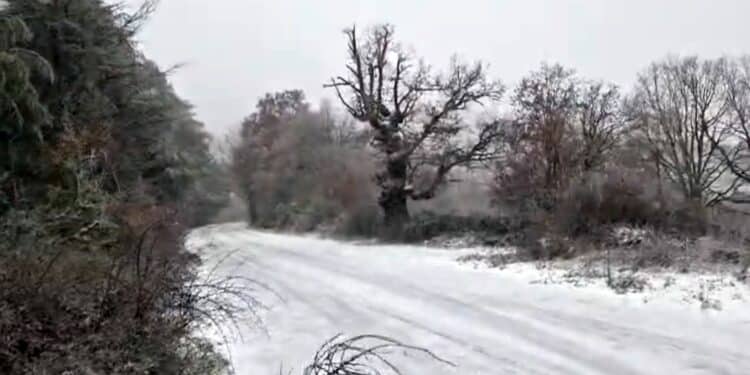 Neve a Fonni, il monte Spada imbiancato: freddo e gelo in Sardegna