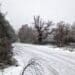Neve a Fonni, il monte Spada imbiancato: freddo e gelo in Sardegna