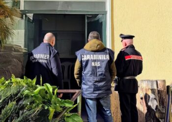 La sicurezza alimentare sempre più emergenza: carne e pesce scaduti sequestrati ad Arbus