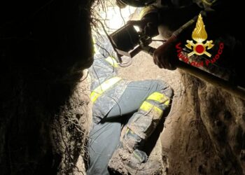 Incastrata fra un cumulo di massi a Narbolia, salvata una cagnolina dai vigili del fuoco