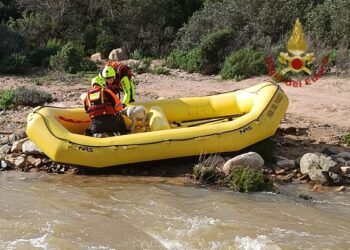 Monte Arcosu, lo spettacolare salvataggio di due cani da caccia: operazione dei vigili del fuoco