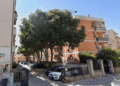 Cagliari, alberi di 20 metri e muro pericolante in via Baronia: “Da due anni allarme ignorato, con Harry situazione precipitata”