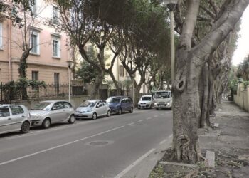 Cagliari, scintille e polemiche su viale Merello: “Togliere i parcheggi è una scelta dannosa e insensata”