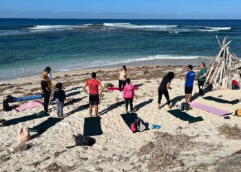 Confcommercio Sardegna presenta i risultati del progetto BUSSOLA: con oltre 11.000 imprese coinvolte l’Isola è laboratorio nazionale di benessere digitale