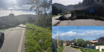 Primi danni causati dal forte vento, a Castiadas pali e alberi crollati a terra