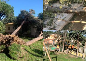 Castiadas, danni sul territorio e domani scuole chiuse: abbattuti alberi, pali e cartelloni pubblicitari