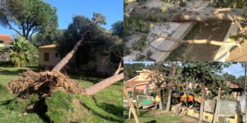 Castiadas, danni sul territorio e domani scuole chiuse: abbattuti alberi, pali e cartelloni pubblicitari