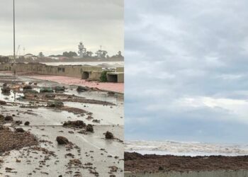 Torre degli Ulivi e Frutti d’oro: domenica pulizia collettiva della spiaggia messa in ginocchio dall’uragano Harry.
