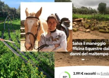 Quartu, la solidarietà abbraccia l’Officina Equestre dopo i danni del maltempo: raccolte migliaia di euro