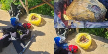 Tuerredda, pescano illecitamente polpi, ben 10 kg confiscati dalla Compagnia Barracellare: “Intensificheremo i controlli”