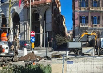Cagliari, la nuova passeggiata di via Roma già pronta a rifarsi il trucco: ecco le nuove piante messe a dimora