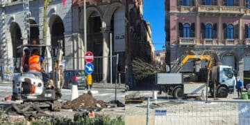 Cagliari, la nuova passeggiata di via Roma già pronta a rifarsi il trucco: ecco le nuove piante messe a dimora