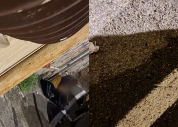 Siringa nel braccio in pieno giorno, davanti a tutti nel cuore di Cagliari: “Proprio dove passano anche i bimbi per andare a scuola”