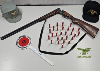 Sinnai, sorpreso in flagranza mentre sparava ai tordi in migrazione: i forestali sequestrano il fucile a un bracconiere