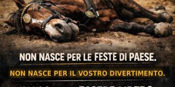 Il cavallo morto alla Sartiglia accende il dibattito nazionale, Rizzi: “Le vostre tradizioni continuano a uccidere”