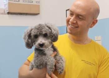 Gli esperti di Radio Zampetta Sarda: l’ortopedico Davide Isolato ci parla di zoppia