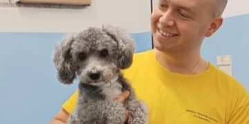 Gli esperti di Radio Zampetta Sarda: l’ortopedico Davide Isolato ci parla di zoppia