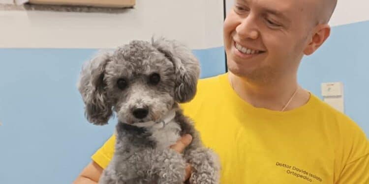 Gli esperti di Radio Zampetta Sarda: l’ortopedico Davide Isolato ci parla di zoppia