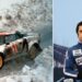 Addio a Sandro Munari, il Drago italiano dei Rally