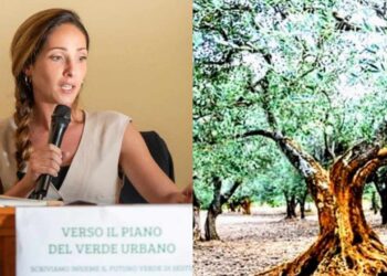 Sestu, aree urbane riqualificate con nuovi alberi e piante: la città premiata a livello nazionale