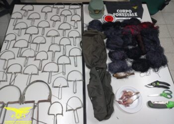 Bracconieri nel mirino dei Forestali: sequestrate reti e trappole per uccellagione tra Maracalagonis e Quartucciu
