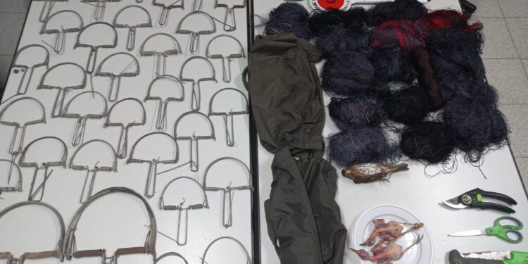 Bracconieri nel mirino dei Forestali: sequestrate reti e trappole per uccellagione tra Maracalagonis e Quartucciu
