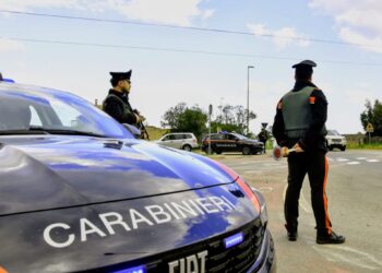 Carbonia, litiga con la compagna e scaglia il cane contro i carabinieri: arrestato un 34enne