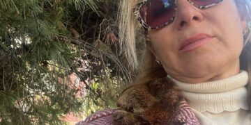 Via Milano, albero pericolante sul marciapiede: il caso finisce in consiglio comunale