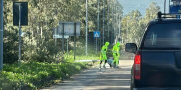 “Sembrava un film dell’orrore”: pali e alberi abbattuti dal vento, paura sulla strada di rientro da Costa Rei -VIDEO